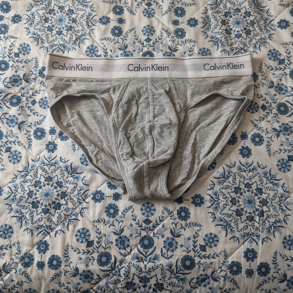 CK Modern cotton stretch briefs